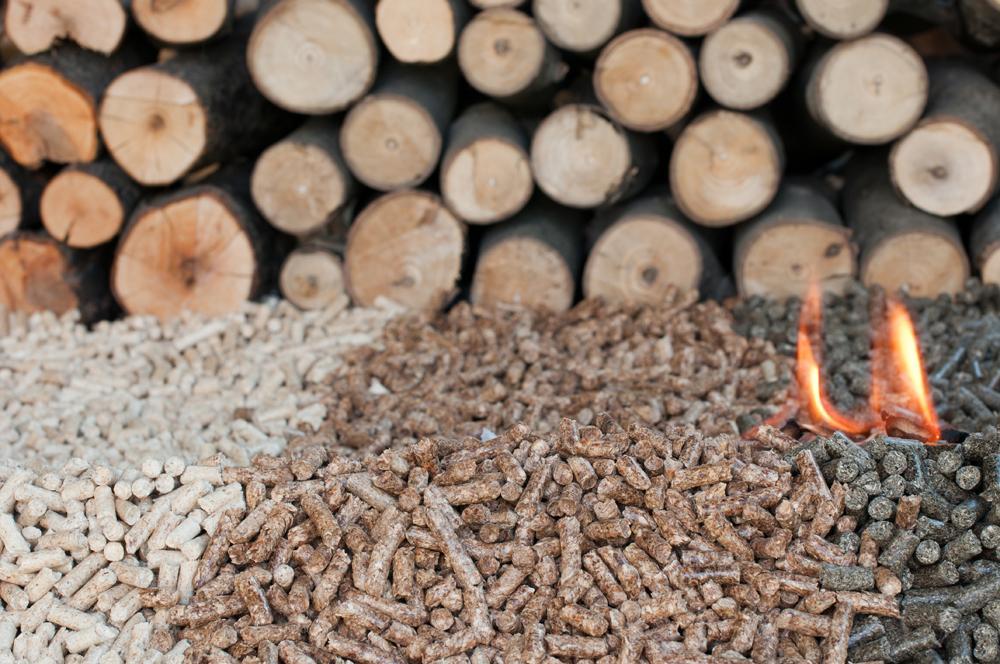 Vente de bois Clermont-Ferrand