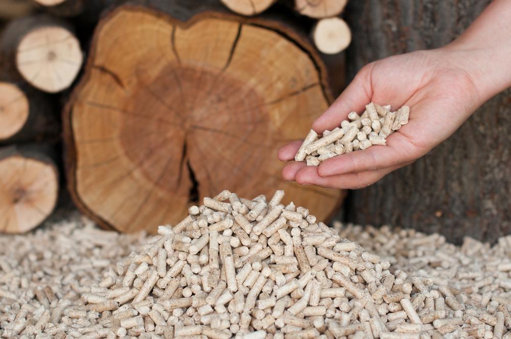 Vente de bois Bromont Lamothe